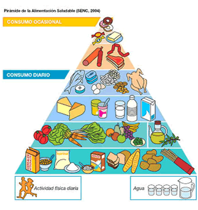 piramide alimenticioa